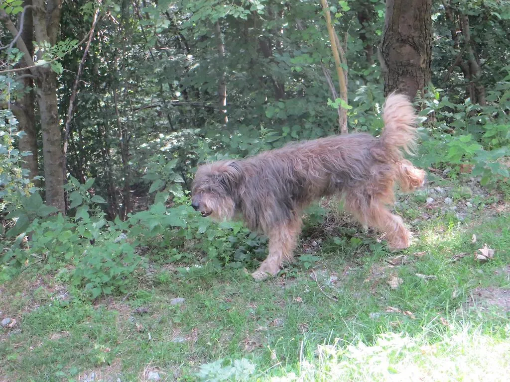 Baita Bondella Como